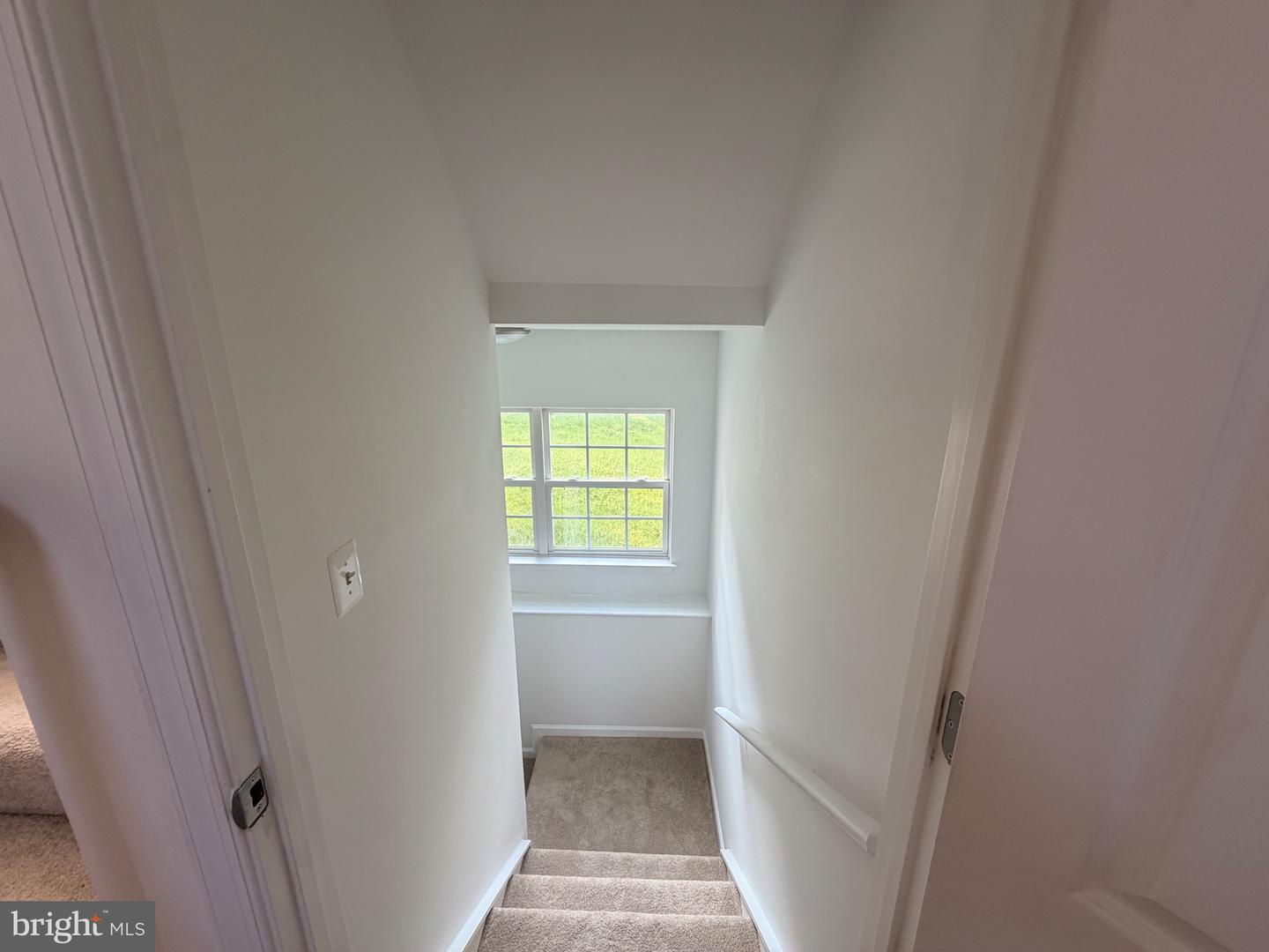 6542 Ashby Grove Loop Property Photo 23
