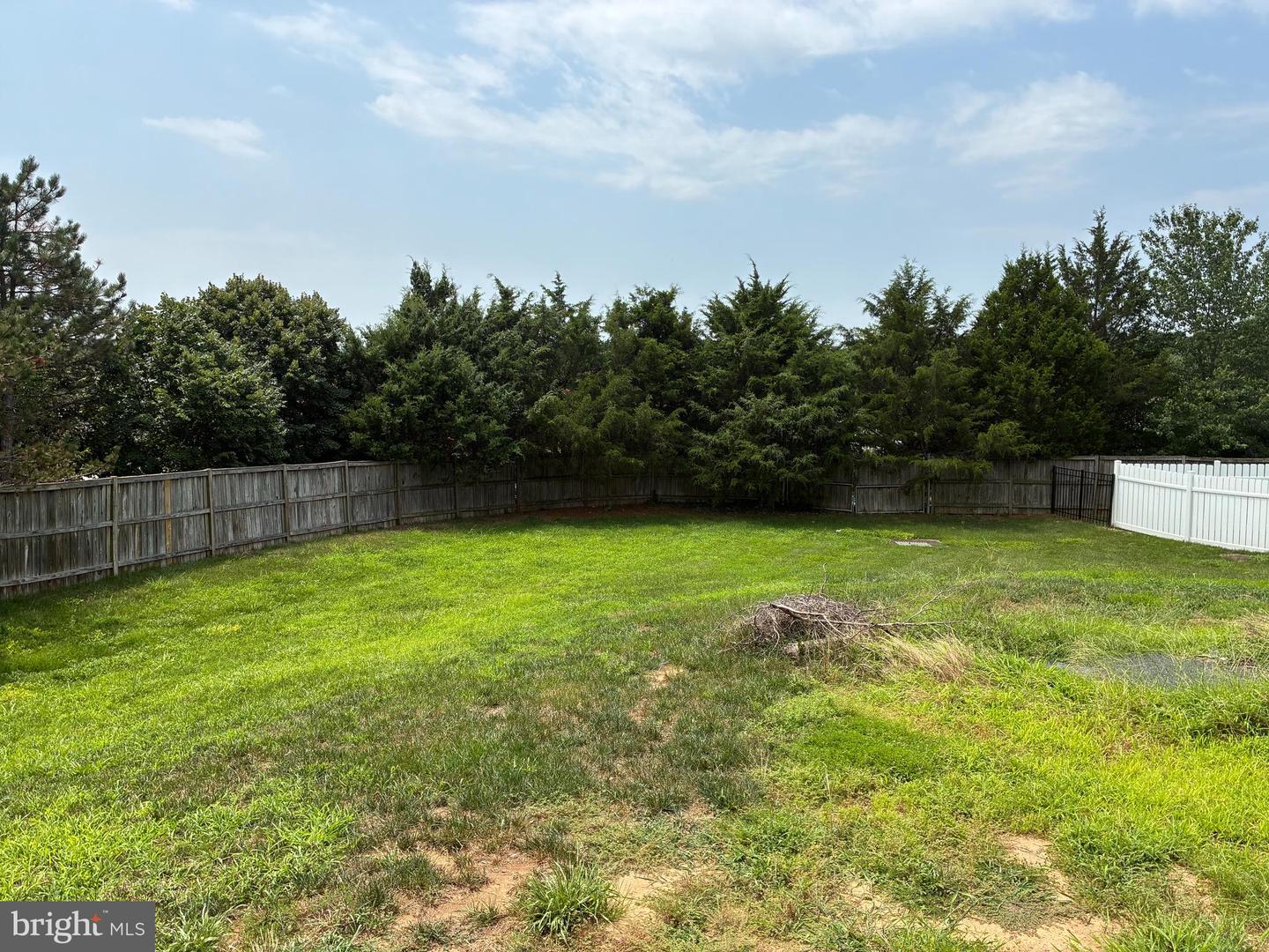 16245 Chase Eagle Ln Property Photo 3
