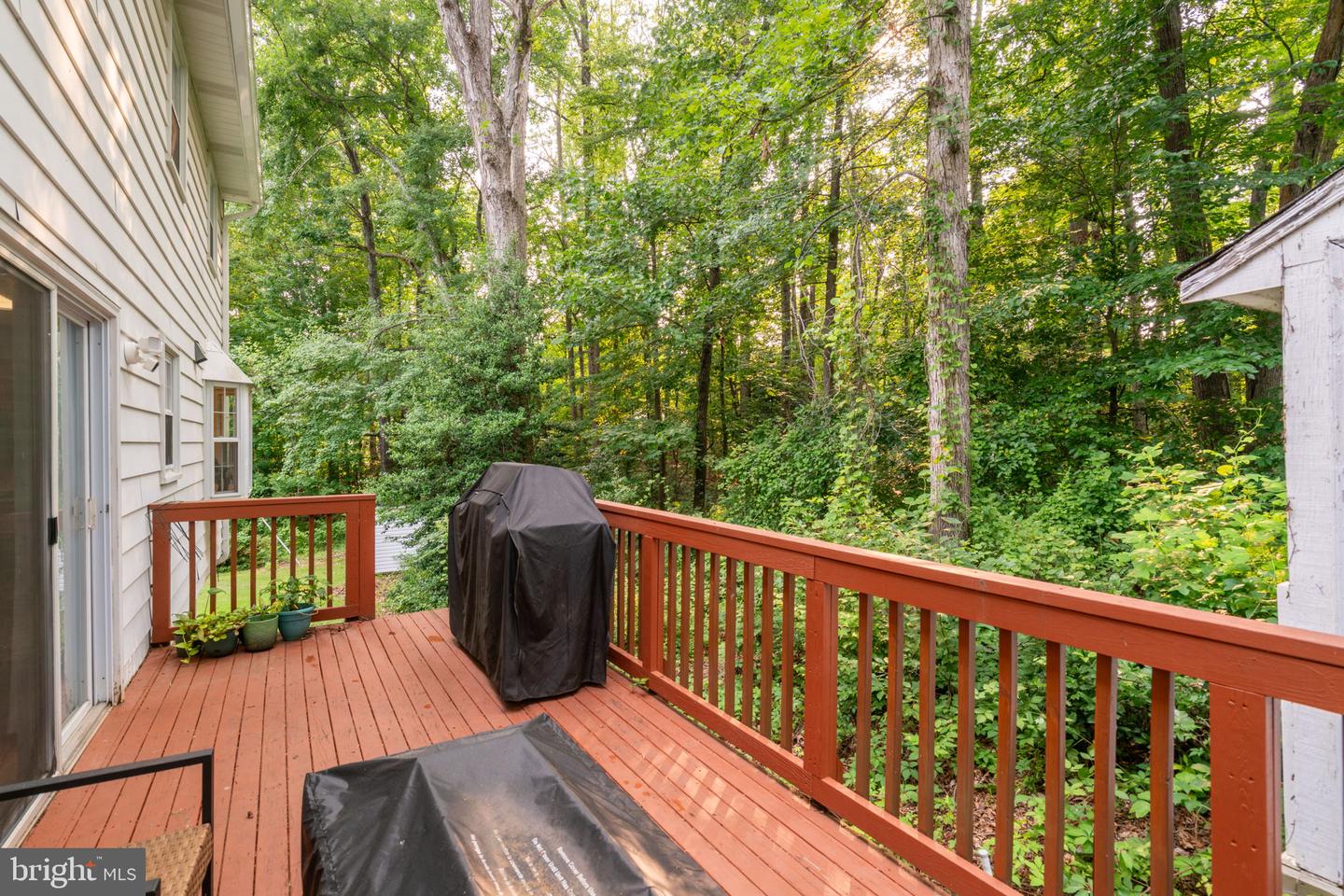 13402 Carrageen Dr Property Photo 65
