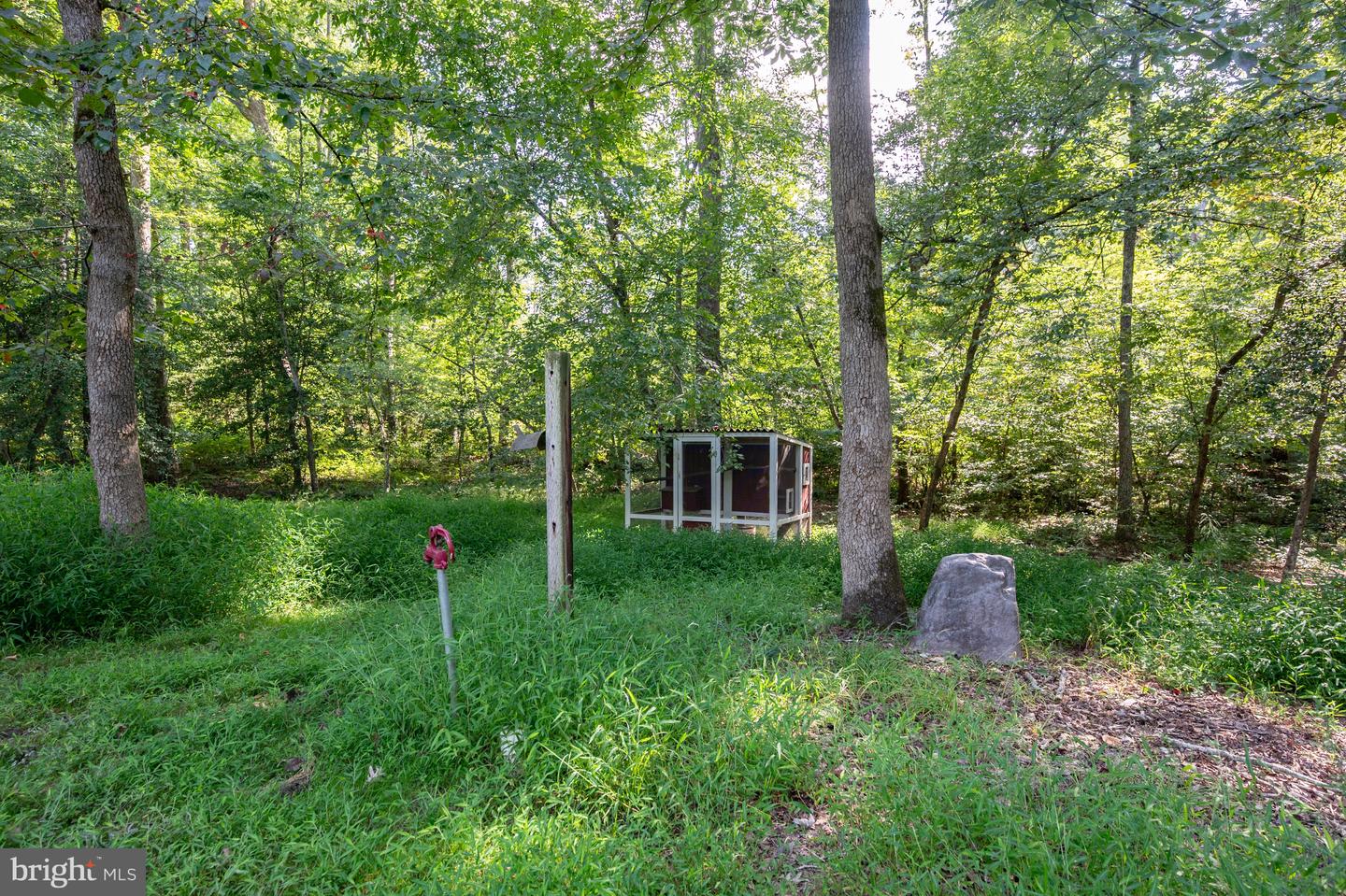7040 Hoadly Rd Property Photo 127
