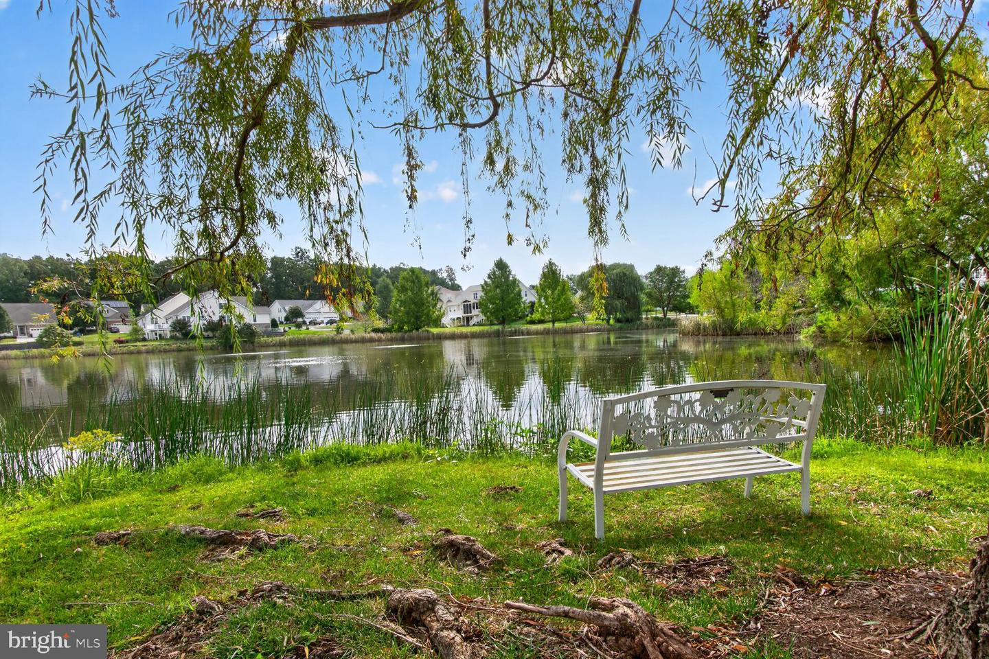 13039 Triple Crown Loop Property Photo 6