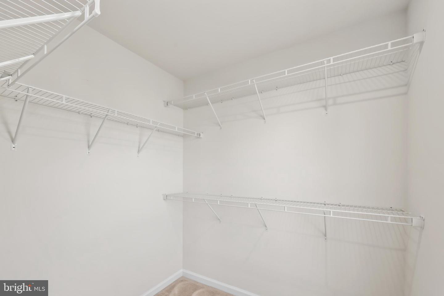 12278 Cranford Dr Property Photo 39