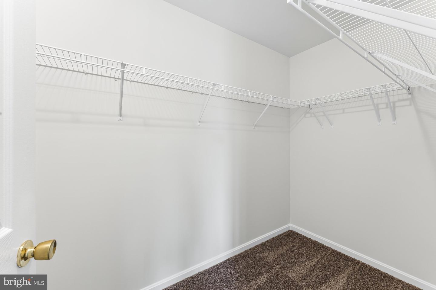 15541 John Diskin Cir Property Photo 27