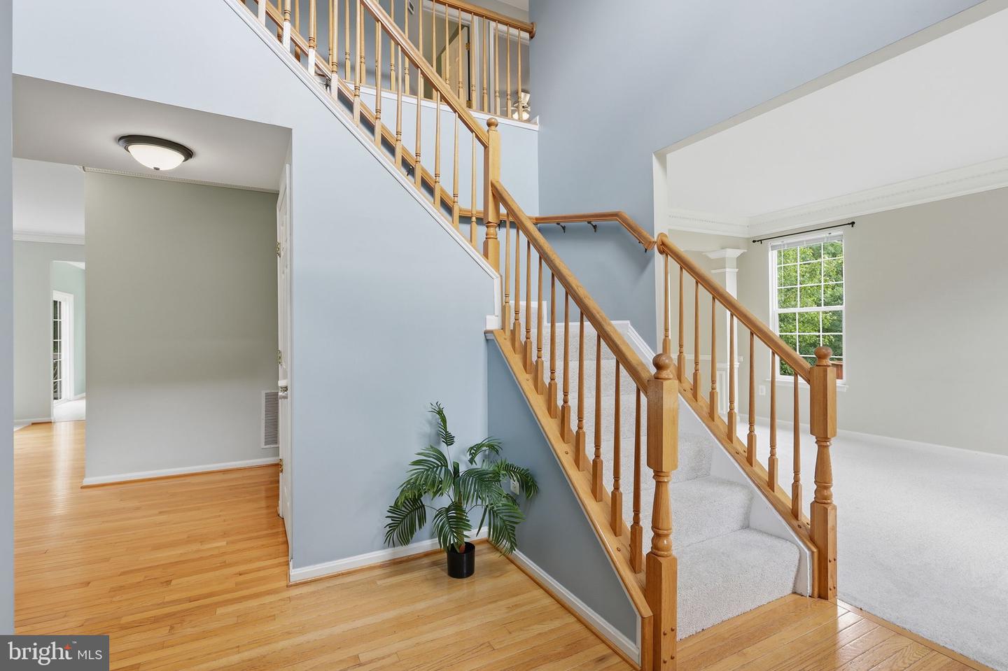 10873 Peachwood Dr Property Photo 3