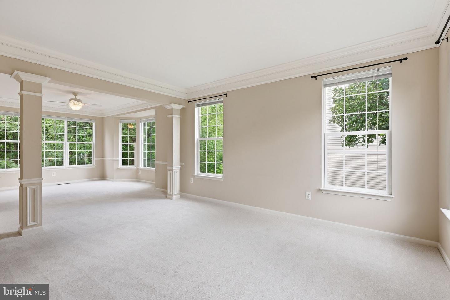 10873 Peachwood Dr Property Photo 4