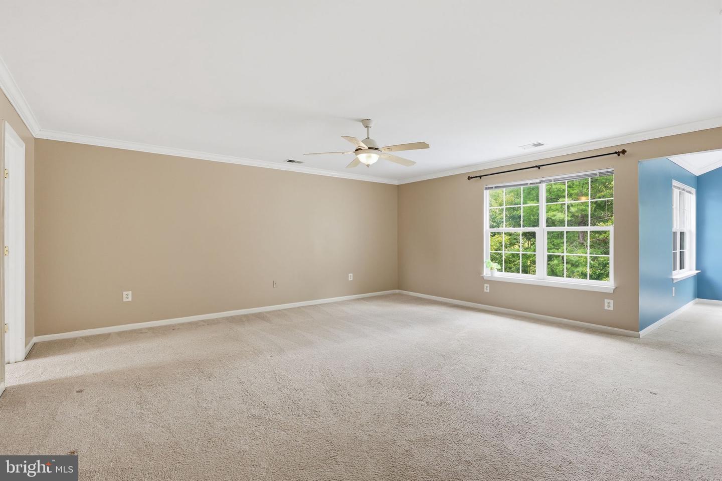 10873 Peachwood Dr Property Photo 15