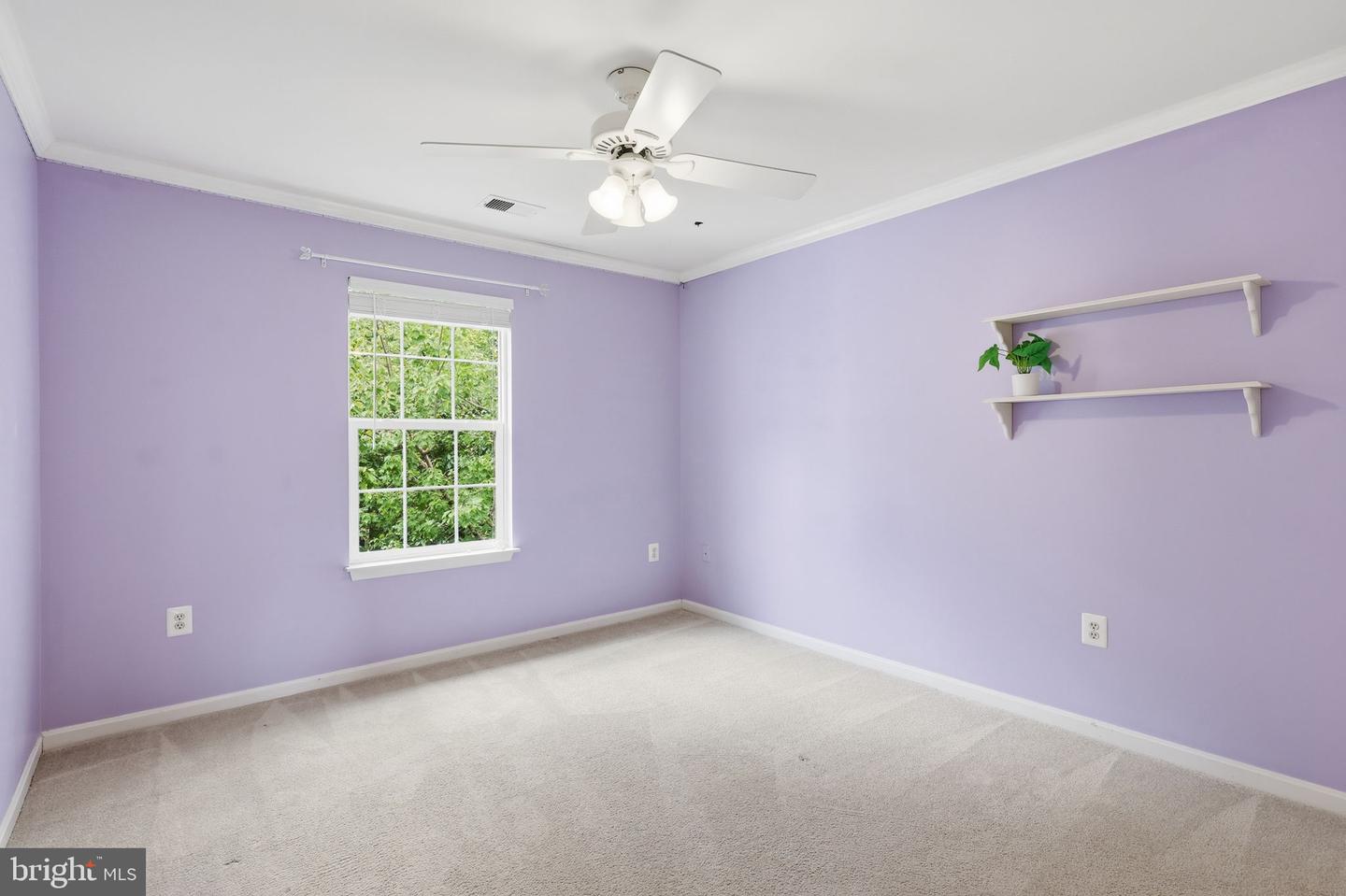 10873 Peachwood Dr Property Photo 21