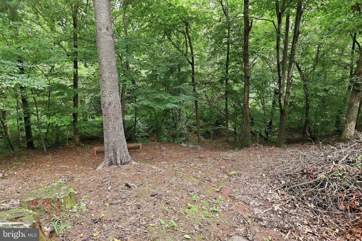 10873 Peachwood Dr Property Photo 34