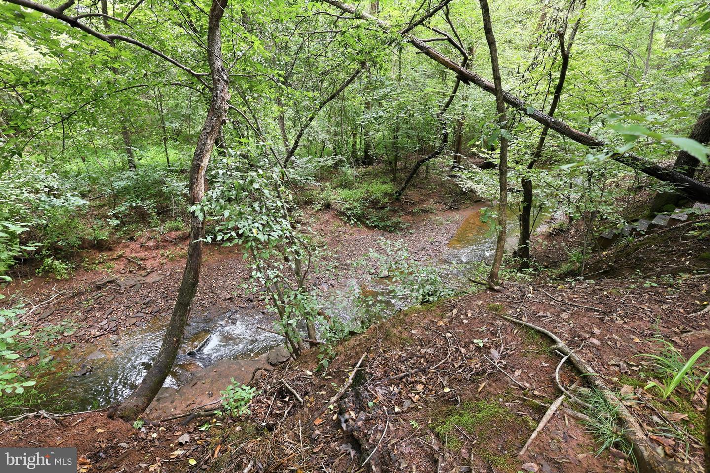 10873 Peachwood Dr Property Photo 35