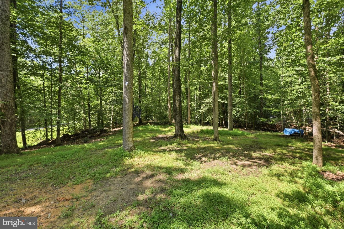 8109 Counselor Rd Property Photo 66