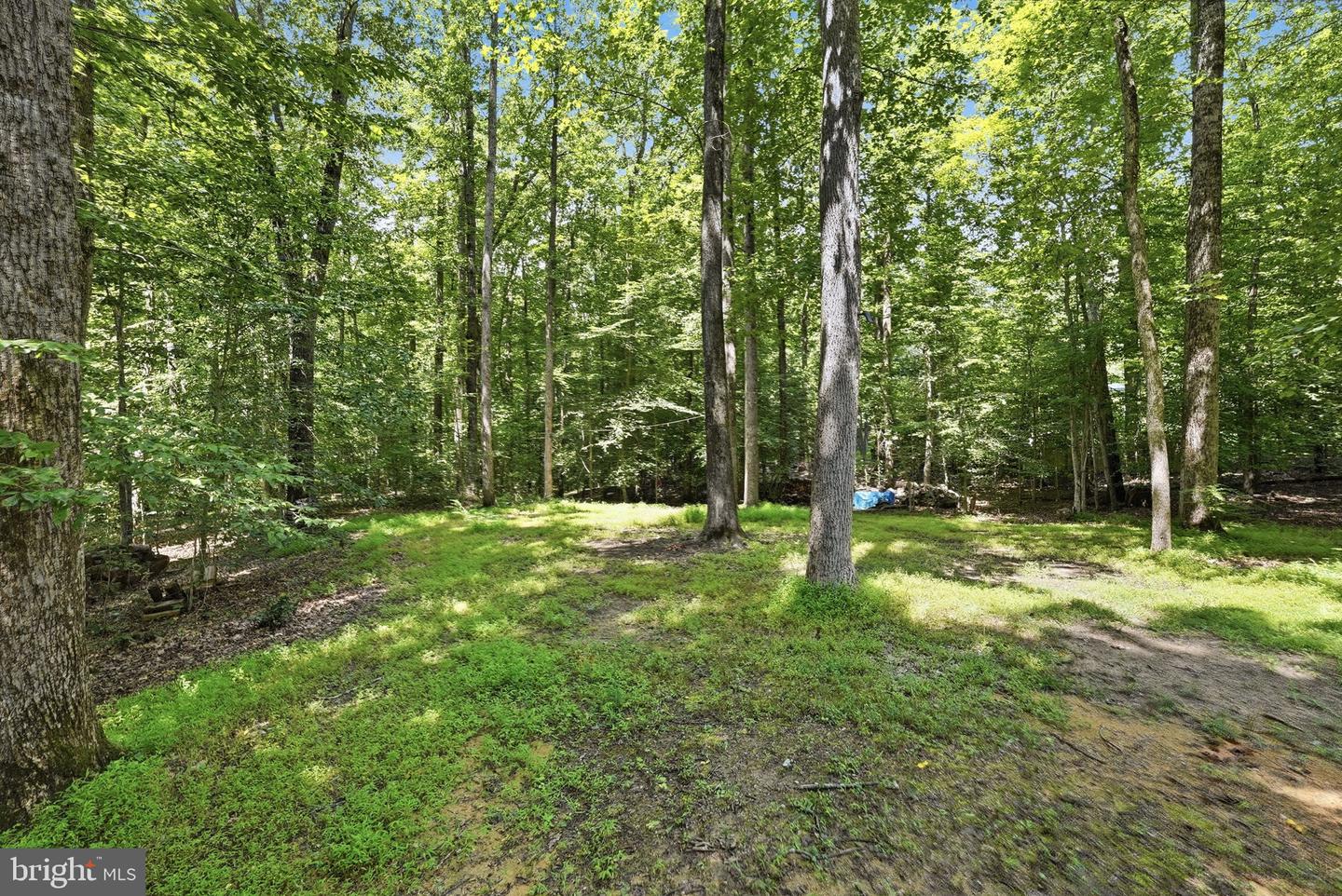 8109 Counselor Rd Property Photo 67