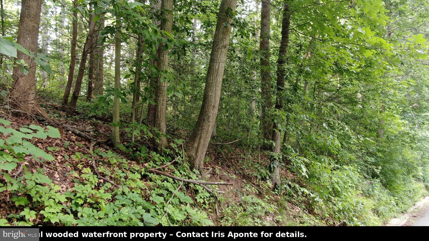 11761 Stanbaugh Ln Property Photo 8