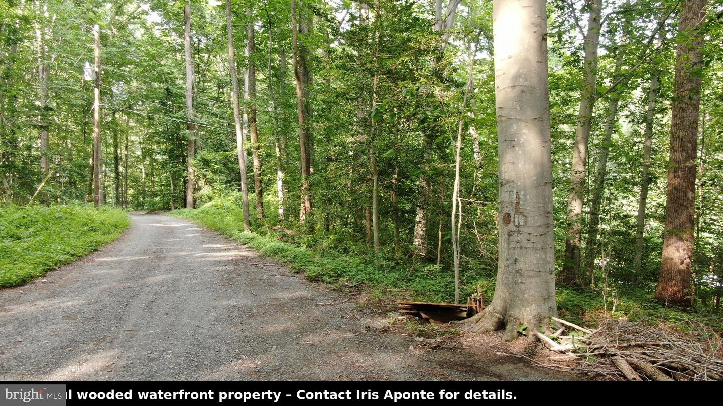 11757 Stanbaugh Ln Property Photo 9