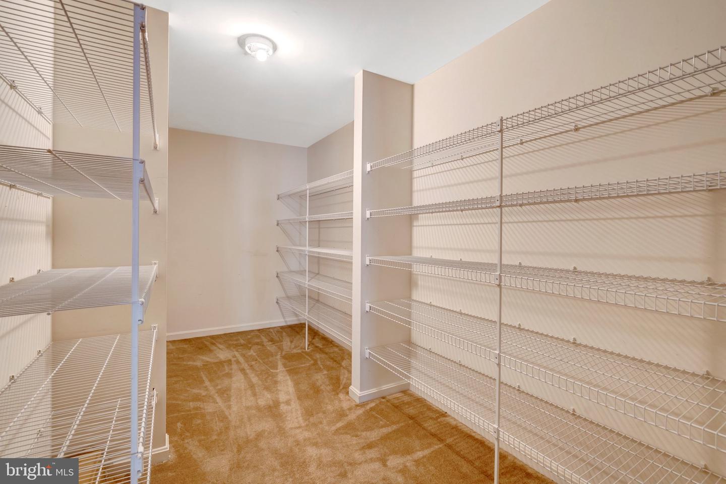 15443 Milton Hall Pl Property Photo 75