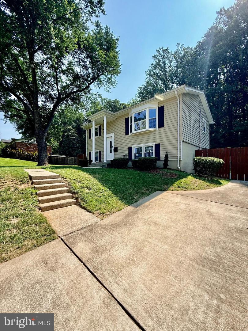 3931 Forestdale Ave Property Photo 12