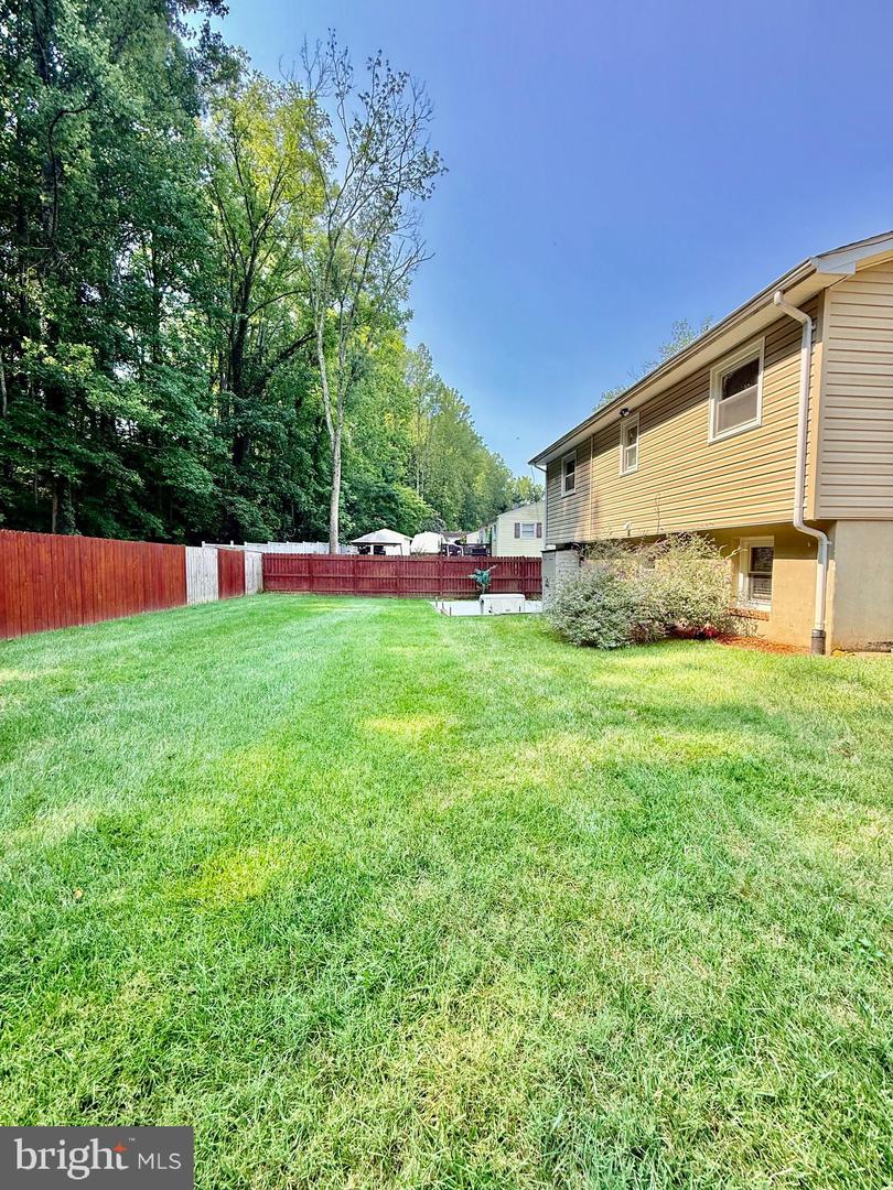 3931 Forestdale Ave Property Photo 18