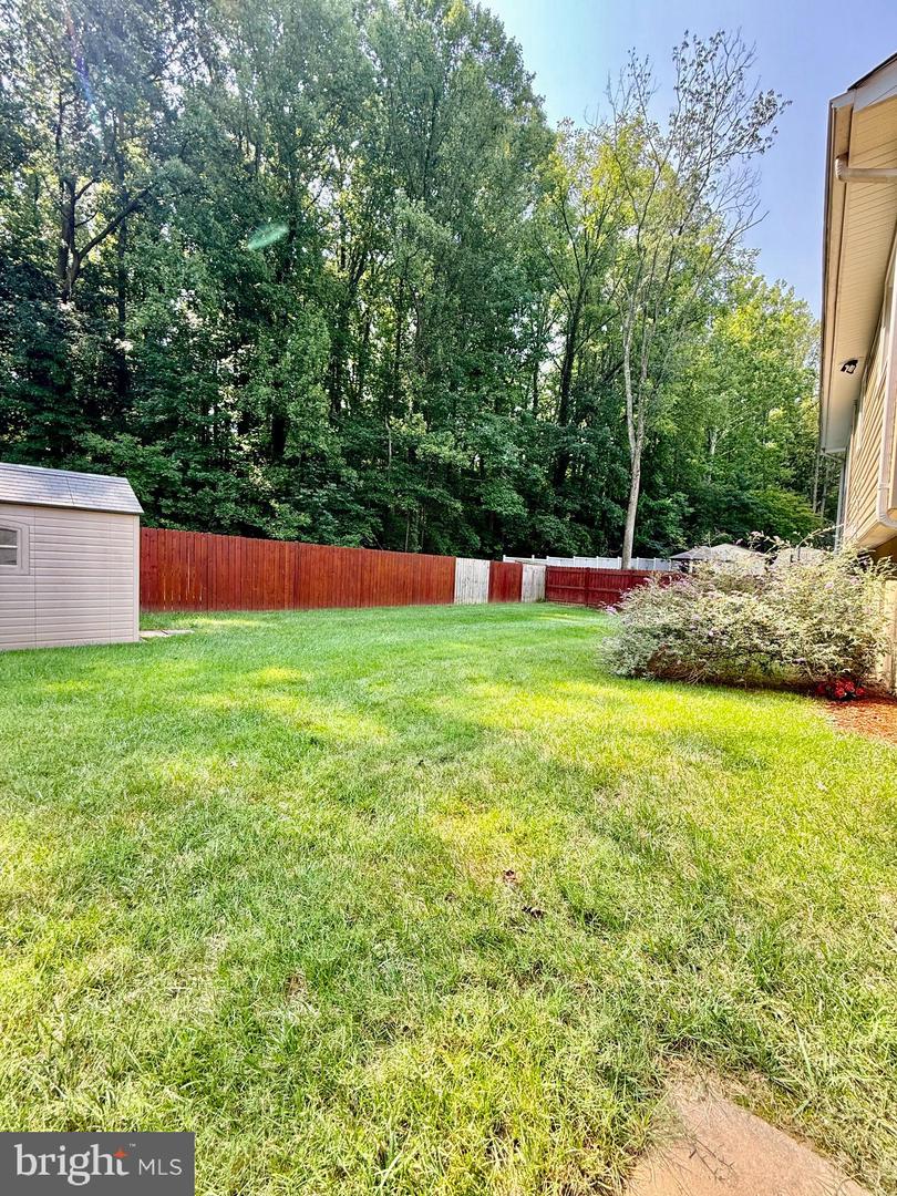 3931 Forestdale Ave Property Photo 19