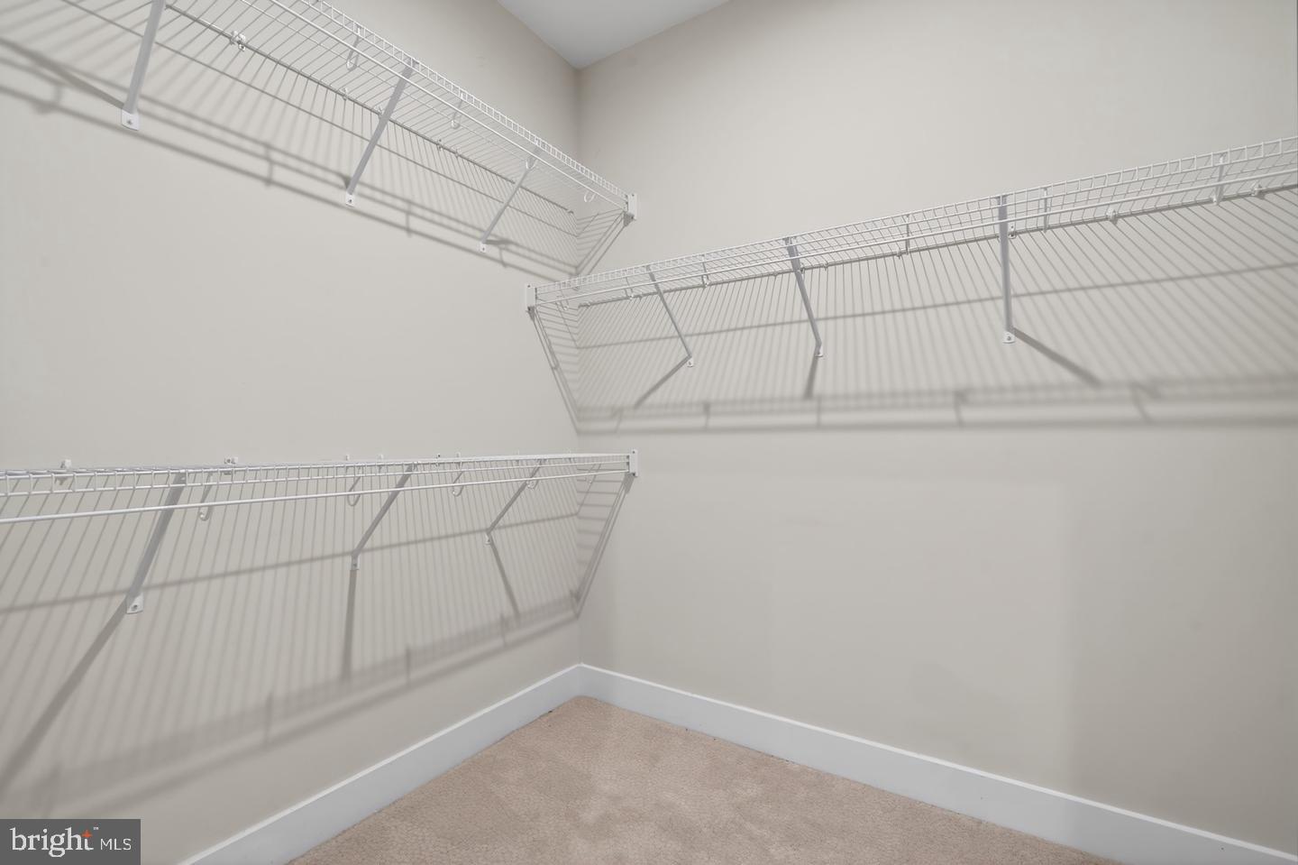 7305 Sugar Magnolia Loop Property Photo 52