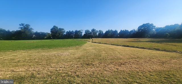 11501 Asbury Ridge Ct Property Photo 17