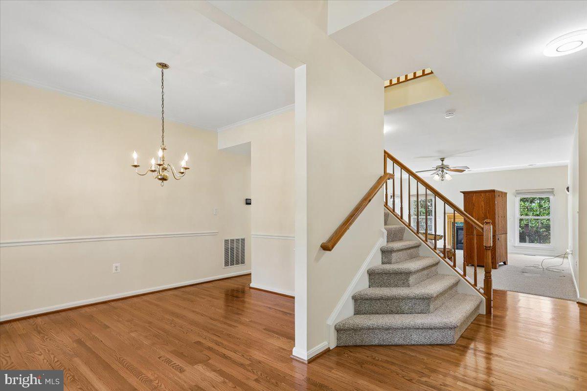 12303 Grimsby Ln Property Photo 3