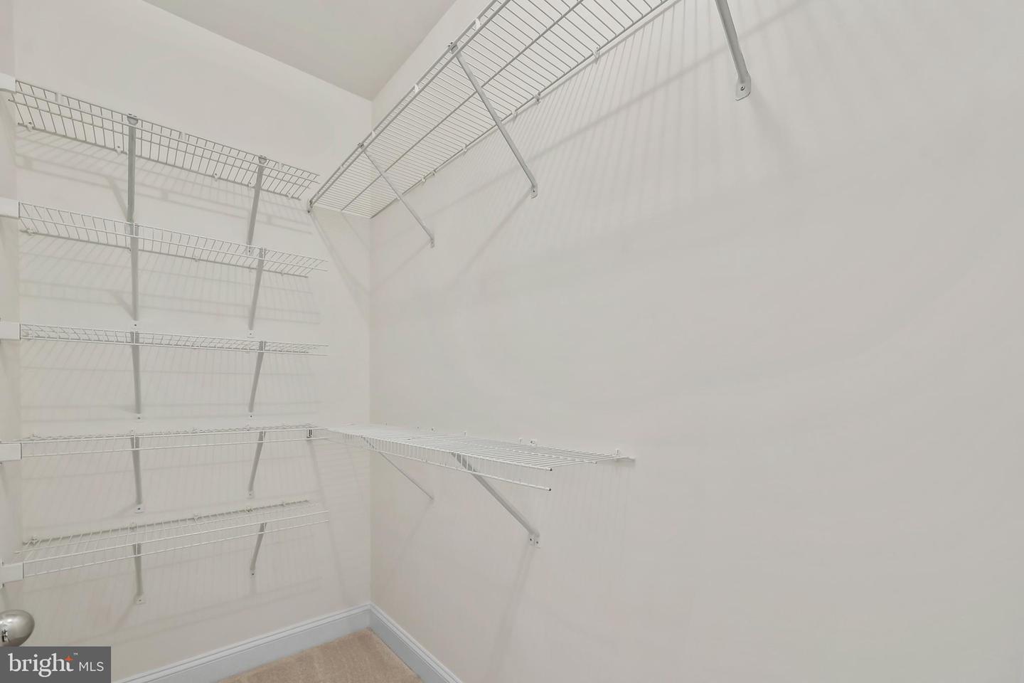 2534 Basin View Ln Property Photo 22