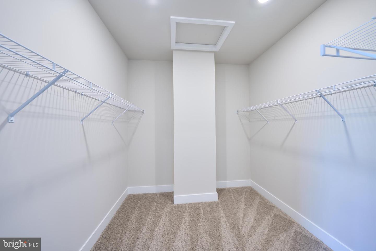 11323 Hypatia Loop Property Photo 34