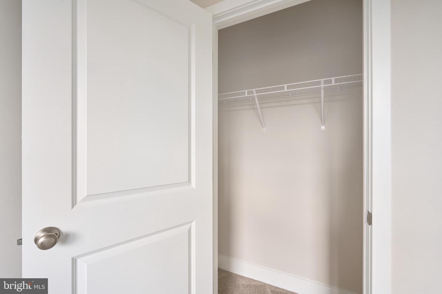 11323 Hypatia Loop Property Photo 41