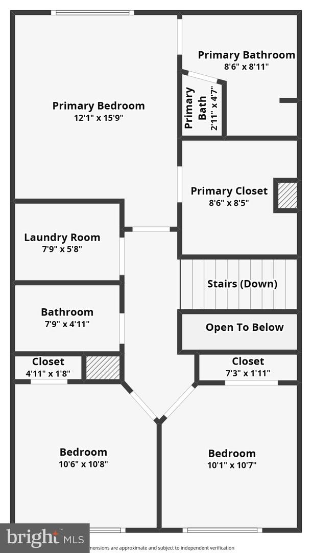 11323 Hypatia Loop Property Photo 63