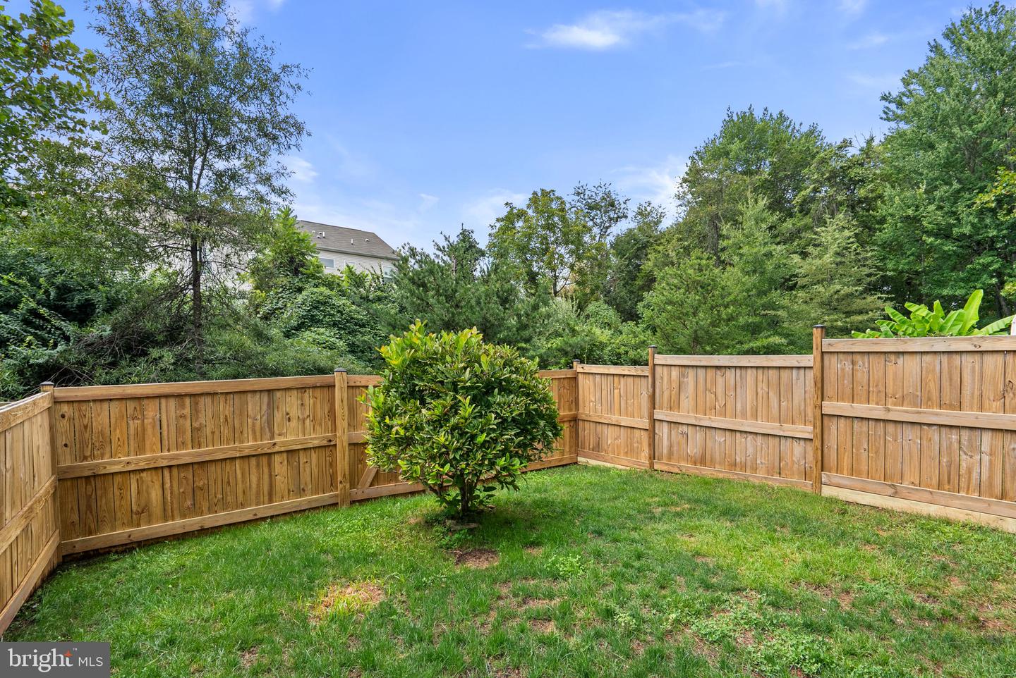 8211 Handsome Joe Ln Property Photo 35