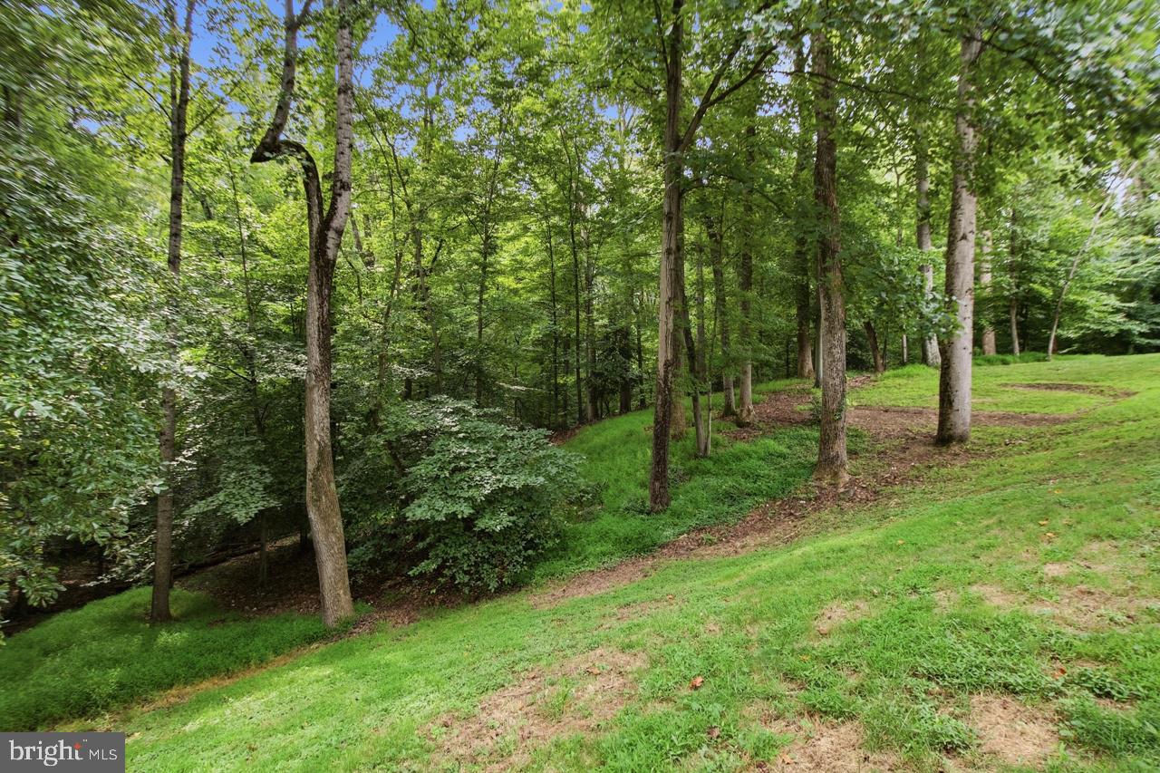 11831 Antietam Rd Property Photo 42