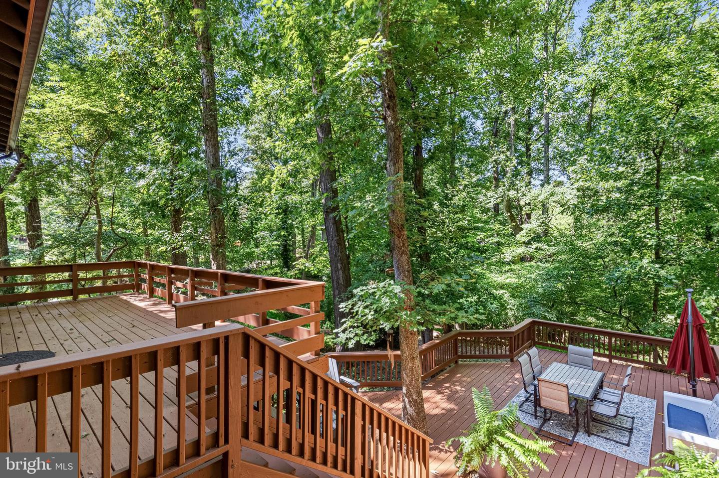 12314 Beechnut Ct Property Photo 43