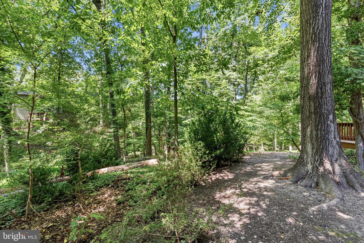 12314 Beechnut Ct Property Photo 54