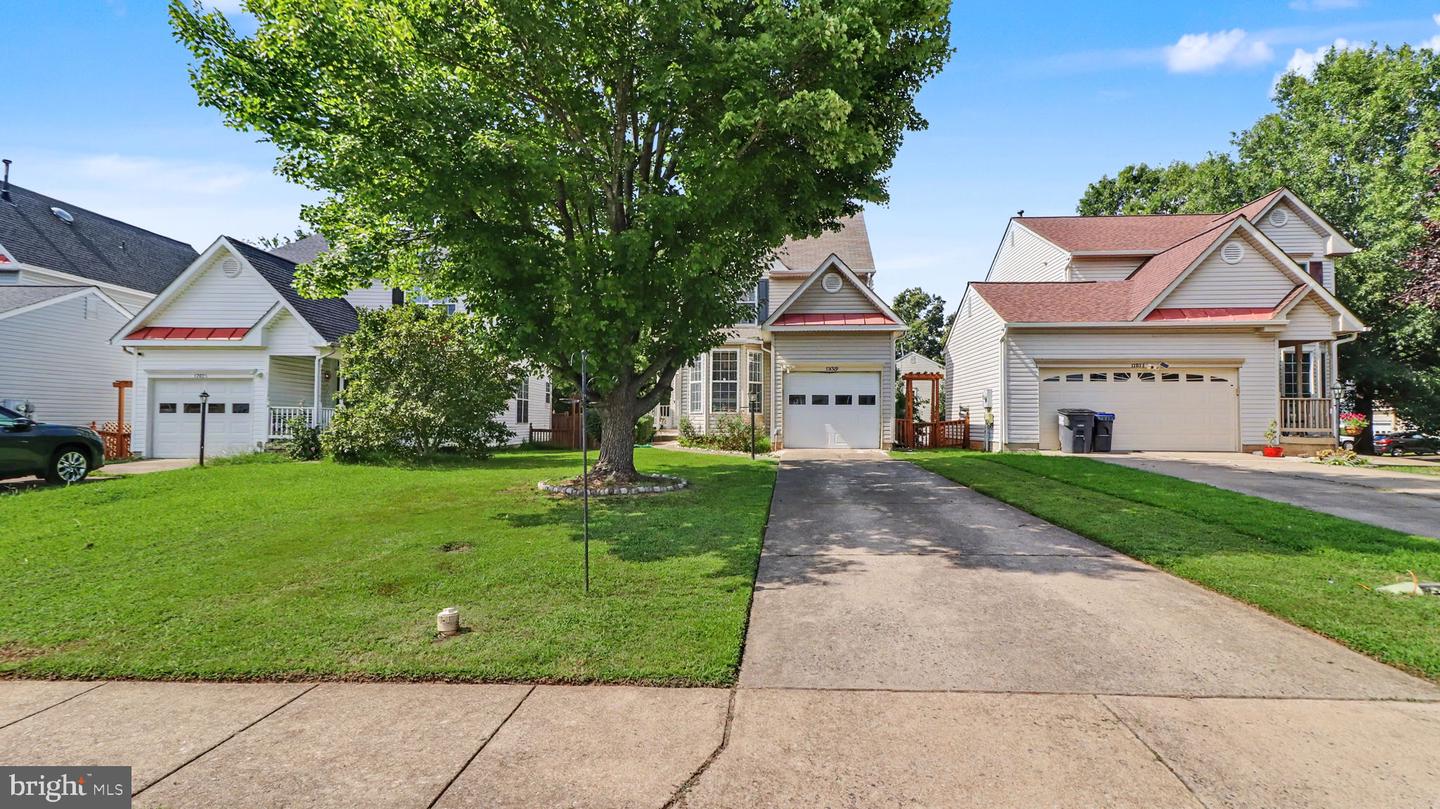12029 Tango Ln Property Photo 6