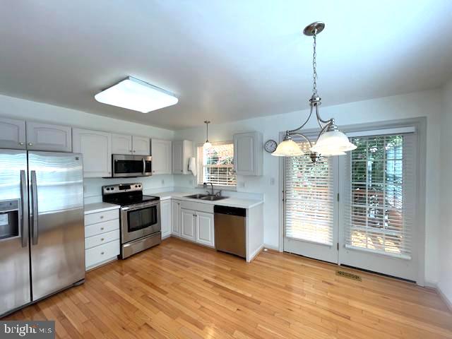 2063 Stargrass Ct Property Photo 3