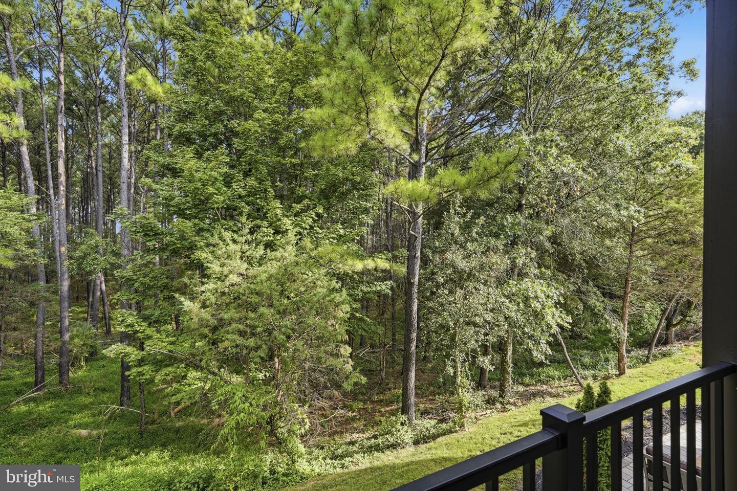 11152 Lanier Farm Loop Property Photo 72