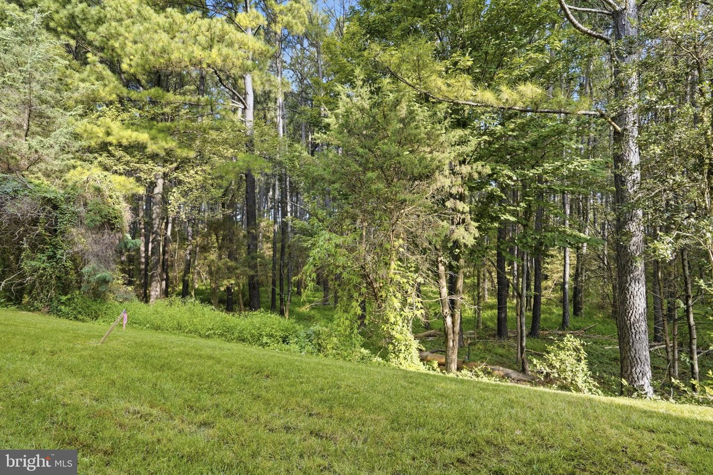 11152 Lanier Farm Loop Property Photo 73