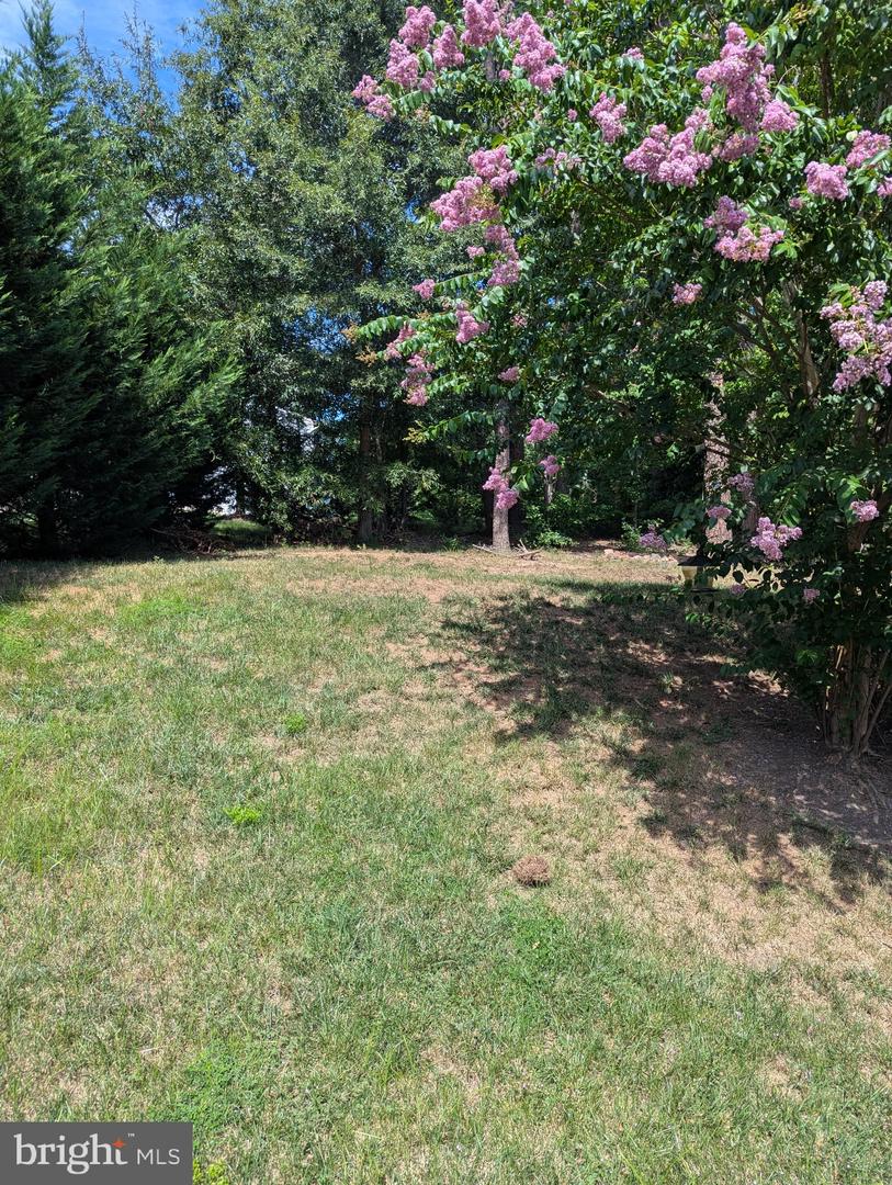 5598 Websters Way Property Photo 15