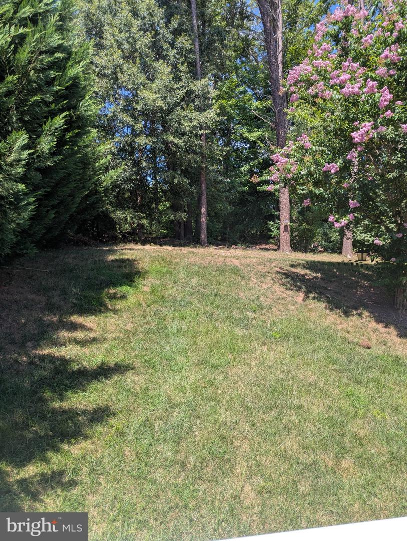 5598 Websters Way Property Photo 17