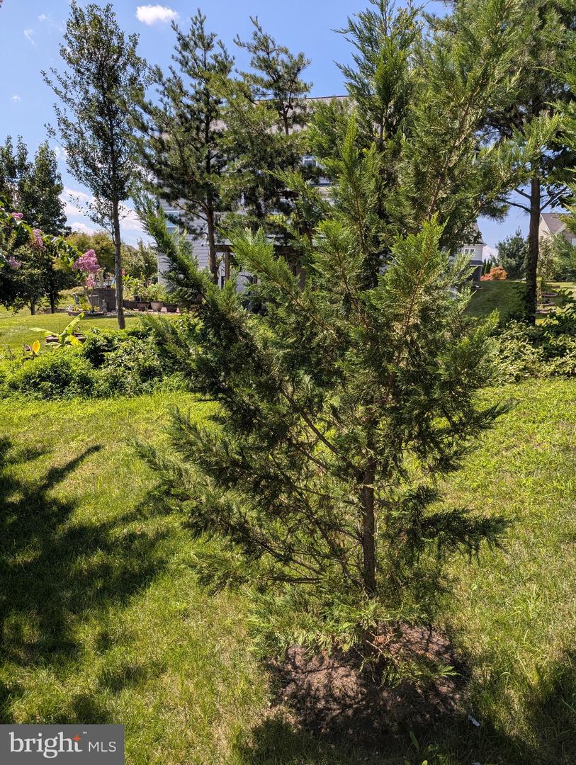 5598 Websters Way Property Photo 18