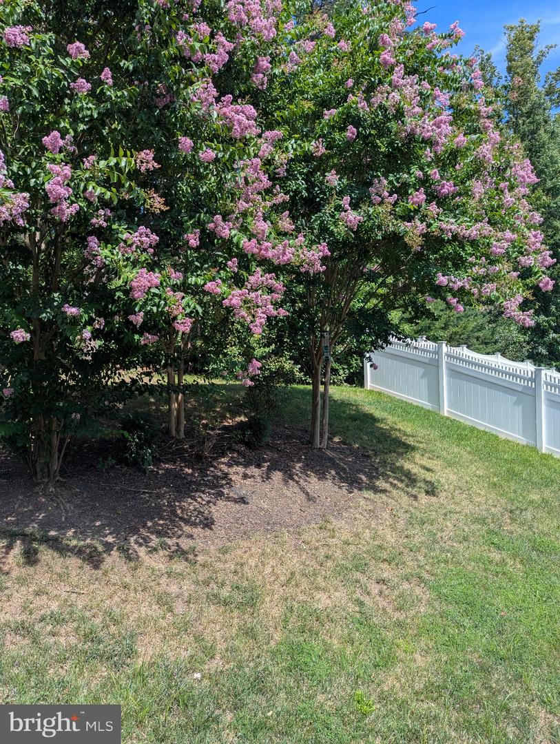 5598 Websters Way Property Photo 19