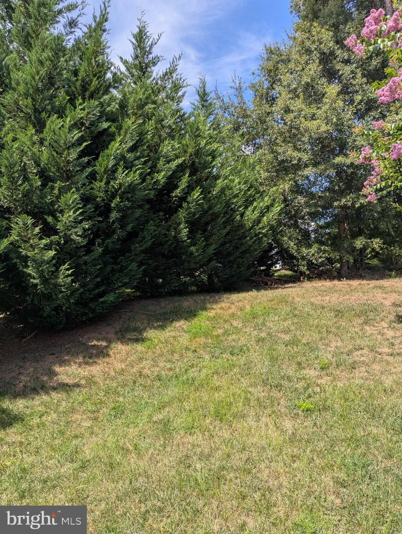 5598 Websters Way Property Photo 20