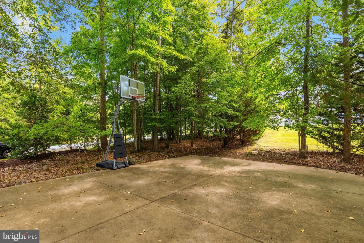 5501 Evesham Ct Property Photo 50