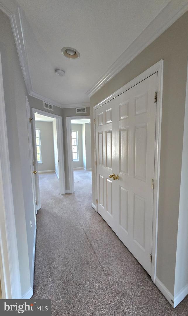 17513 Victoria Falls Dr Property Photo 16