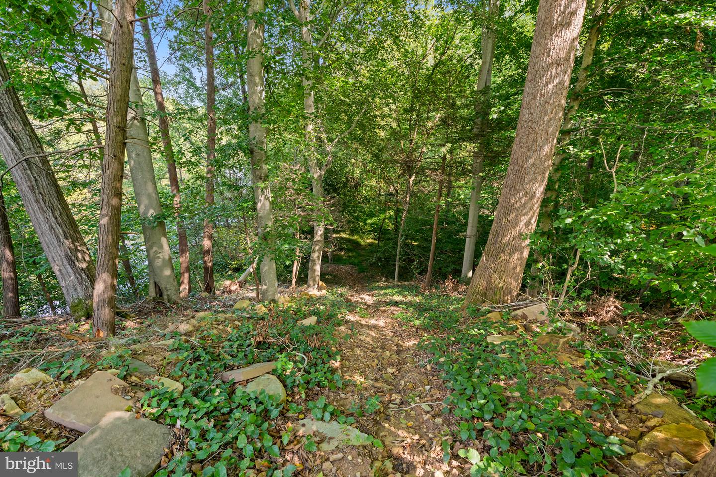 7492 Devon Ln Property Photo 22