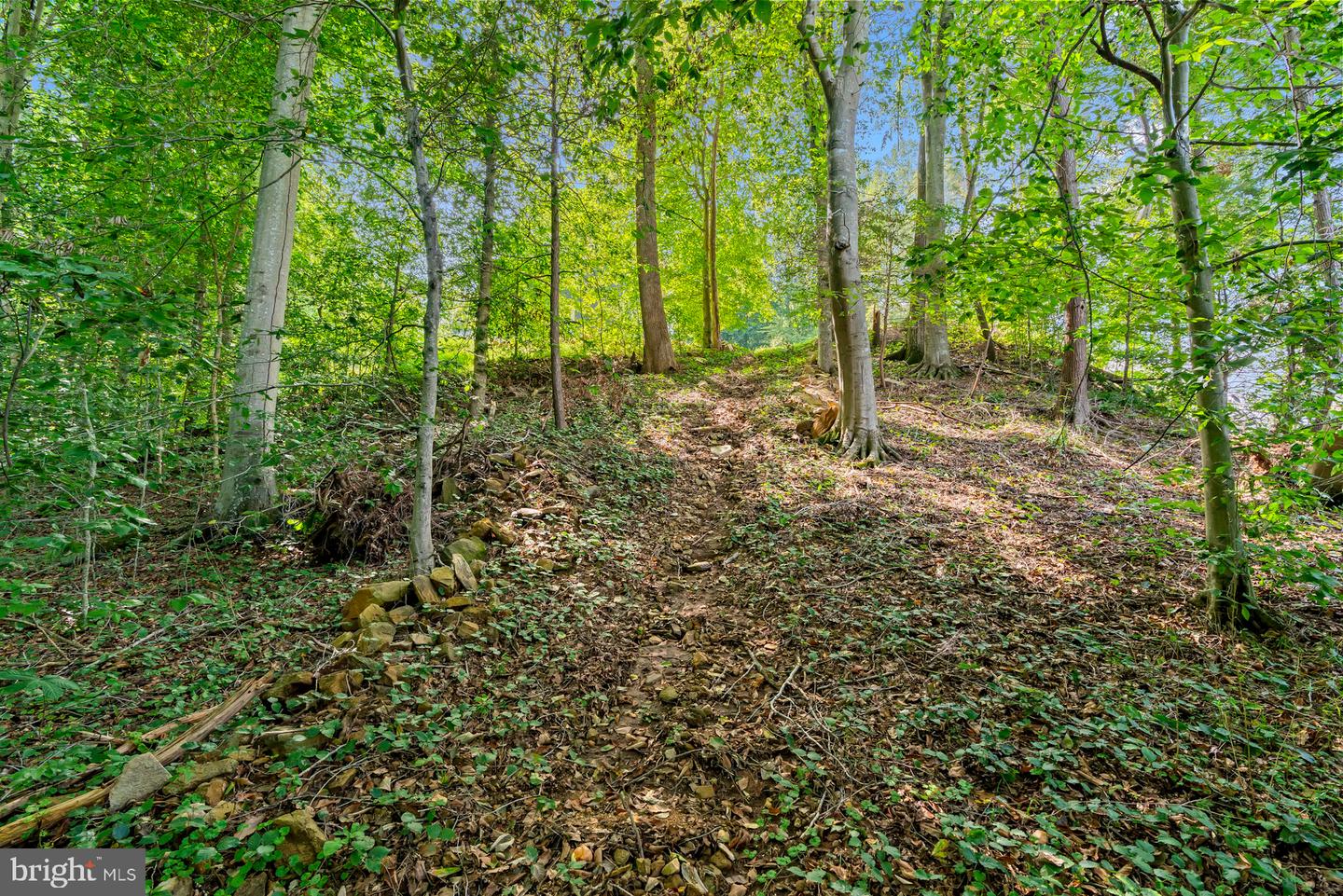 7492 Devon Ln Property Photo 24