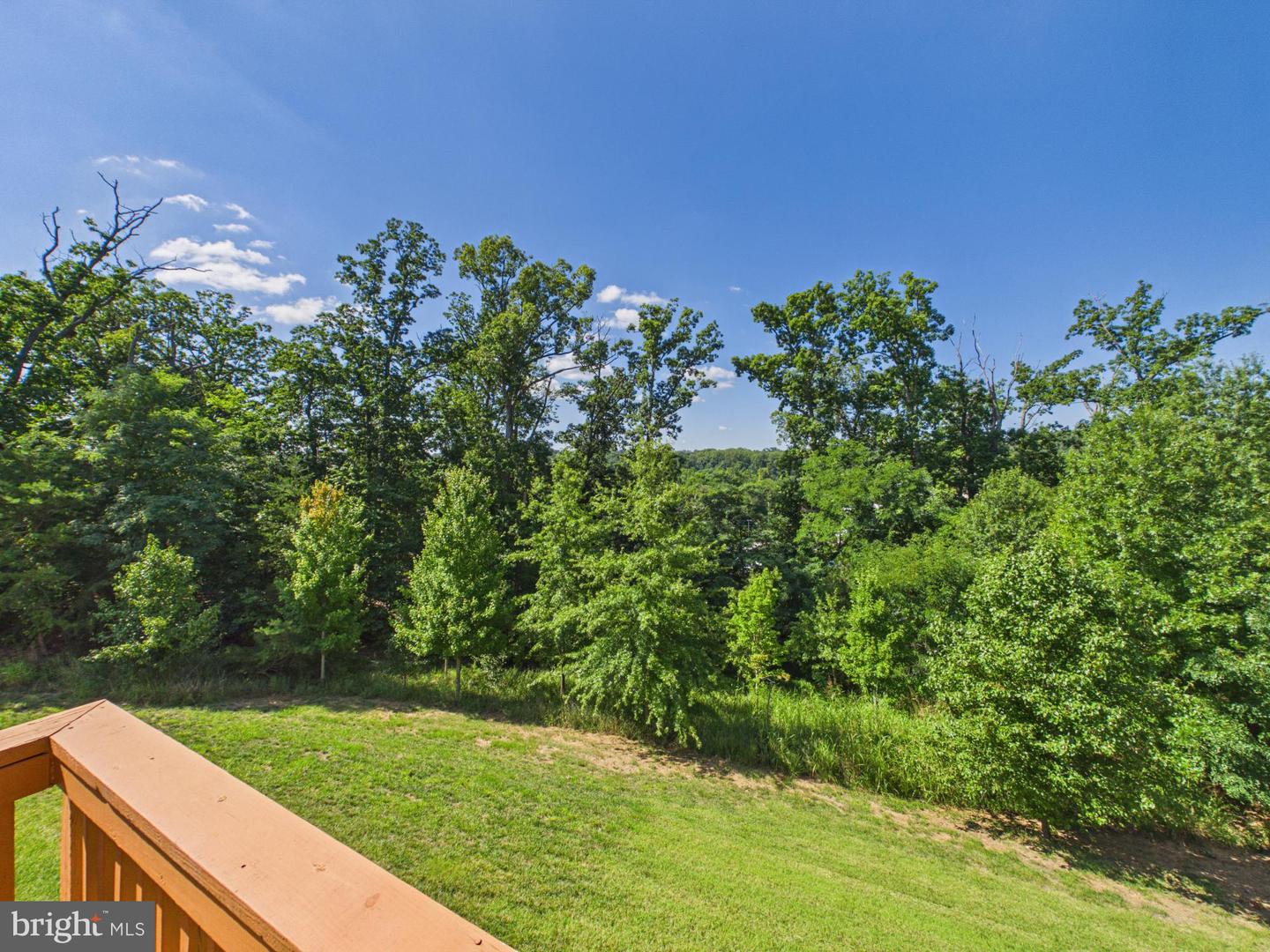 15653 John Diskin Cir Property Photo 18