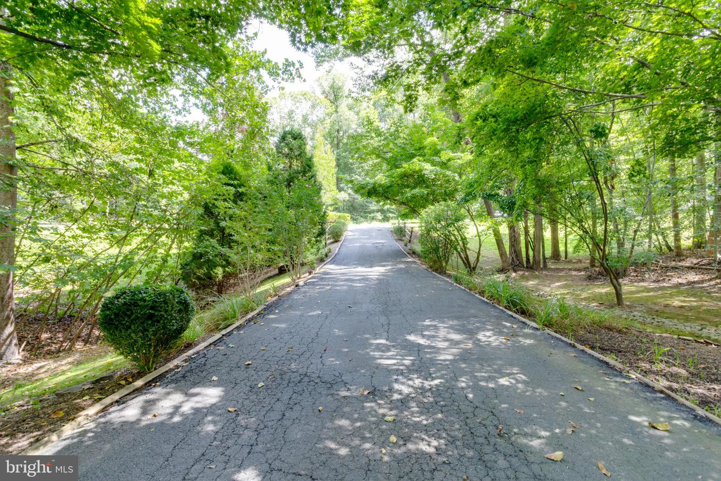 11154 Stonebrook Dr Property Photo 49