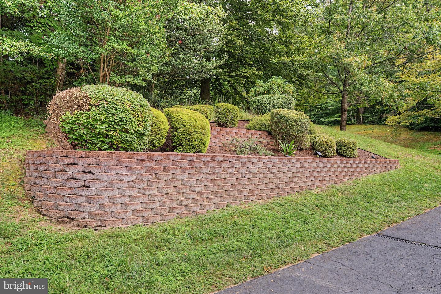 10037 Esteppe Dr Property Photo 61