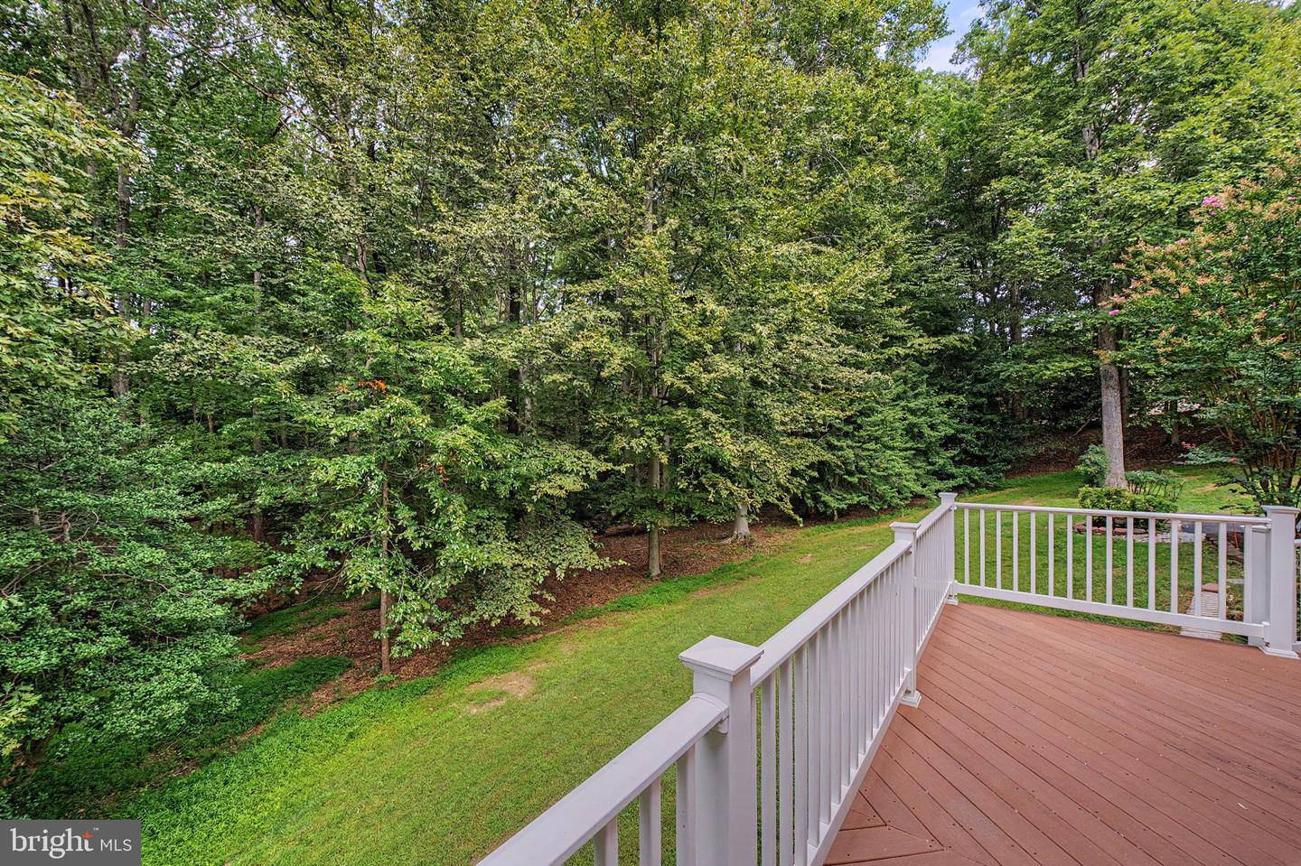 10037 Esteppe Dr Property Photo 68