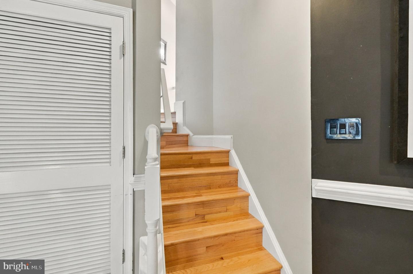 10133 Pale Rose Loop Property Photo 34